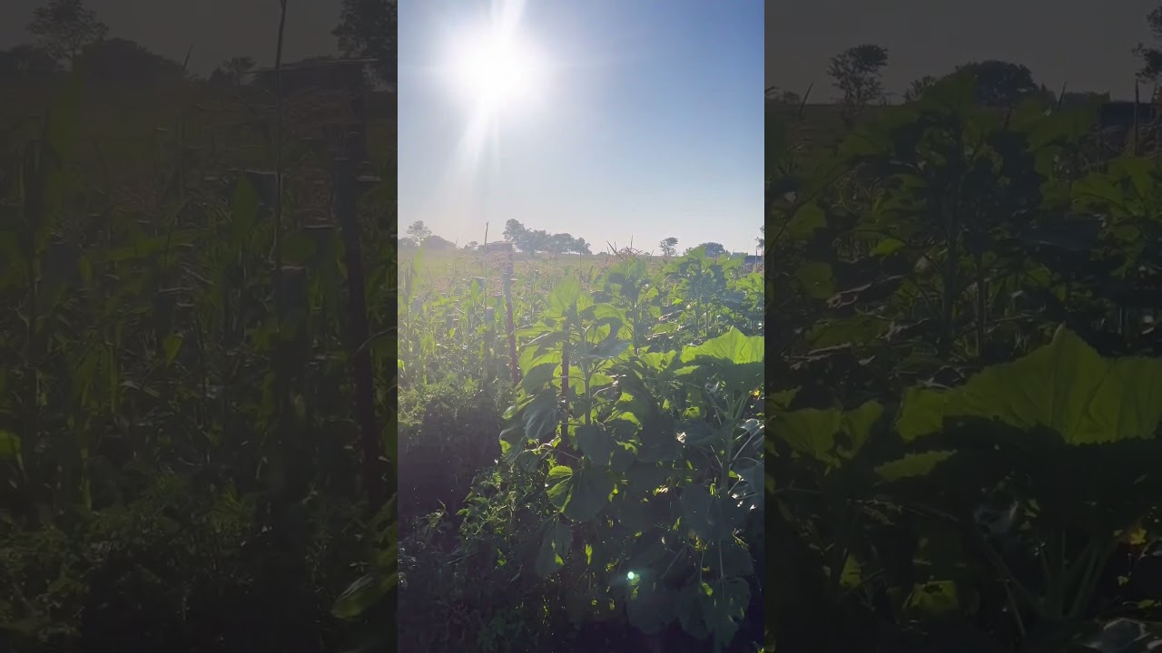 Oklahoma is the place for me! 