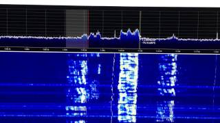 fifi sdr with sdrsharp