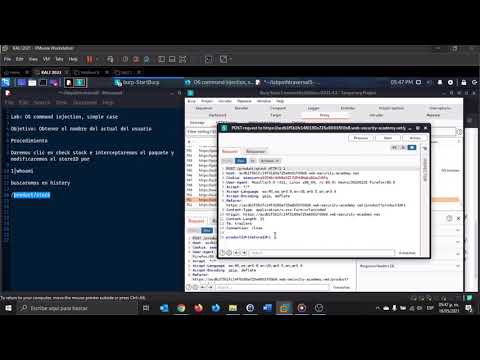 Lab: OS command injection, simple case