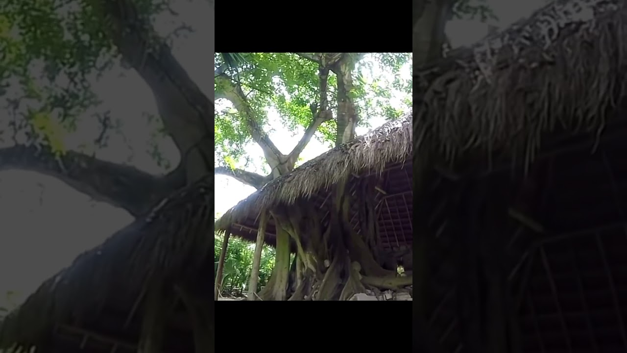 Mayan ruins in COZUMEL, MEXICO from 2018 