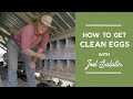 How to get clean eggs from your laying hens  joel salatin