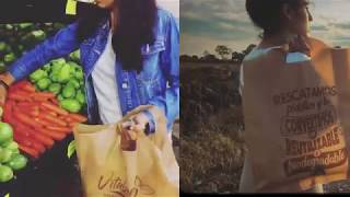 bolsas reutilizables mexico - bolsas biodegradables de venta mexico - crean en méxico un plástico