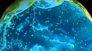 Sister Aquarius Original Composition