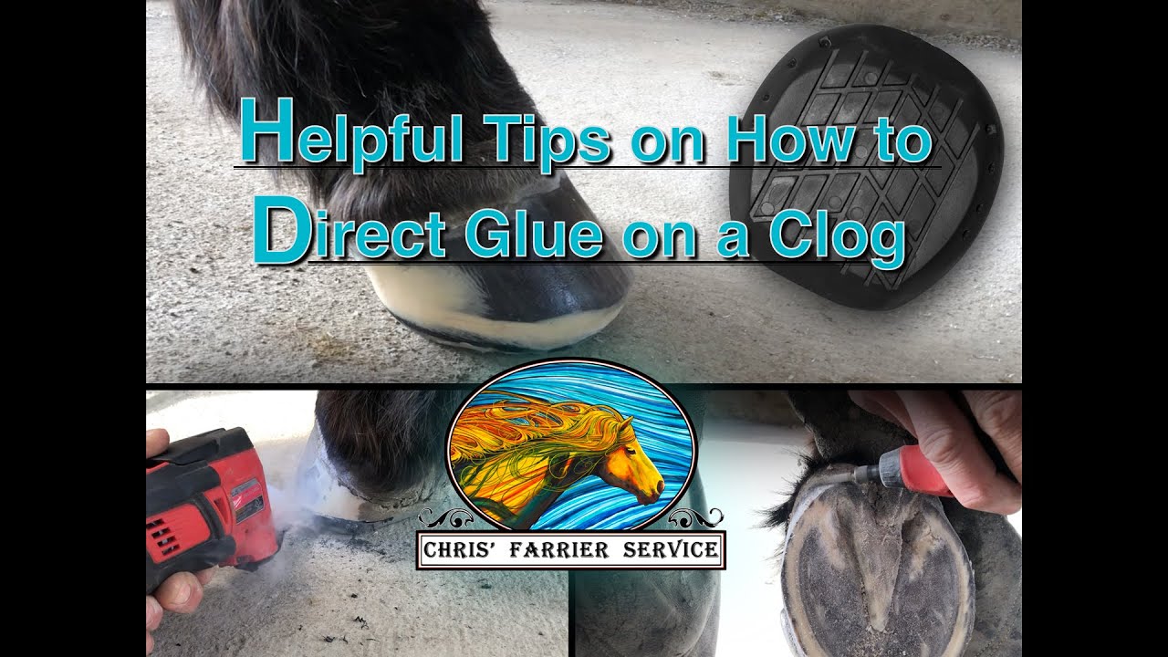 Direct GlueOn Plastic Clog for Horse Hoof Rehabilitation YouTube