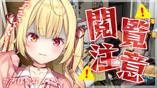 【#汚部屋写メコン】大掃除前の部屋見せて！うええぇぇぇえ...【にじさんじ/星川サラ】
