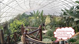 A Butterfly house is made in Botanical garden jallo of which video is made and uploaded. PHA with the cooperation of Punjab Govt. 