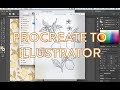 How to Convert PROCREATE DRAWING to VECTOR in ADOBE ILLUSTRATOR