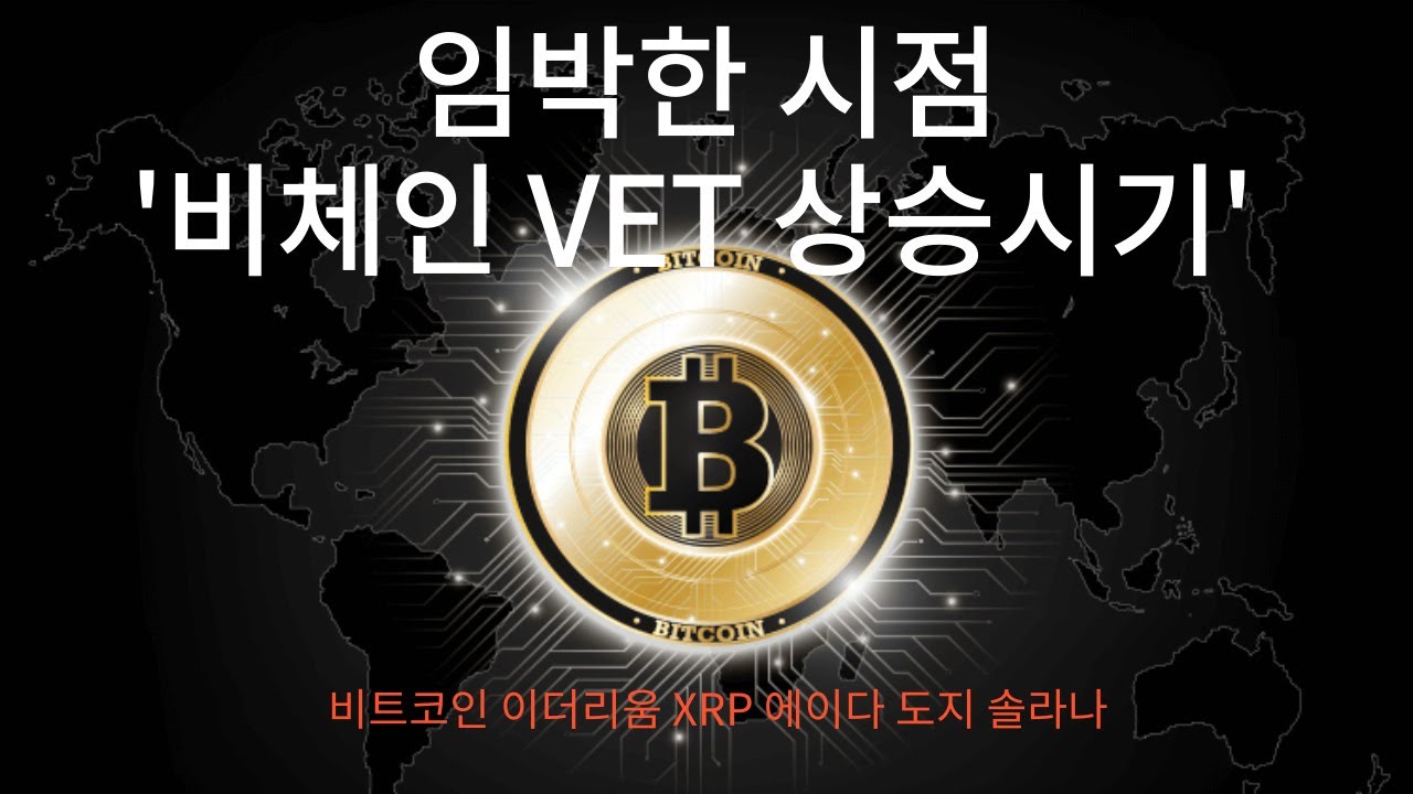 비체인(VET) 코인 전망, 얼마까지 갈까? POA 2.0 메인넷, VEX거래소 호재!