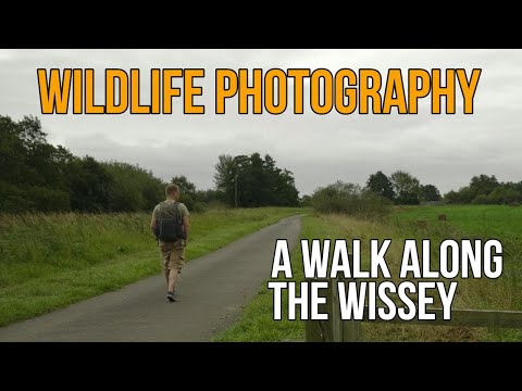 Wildlife Photography Behind The Scenes Vlog - A walk along the Wissey