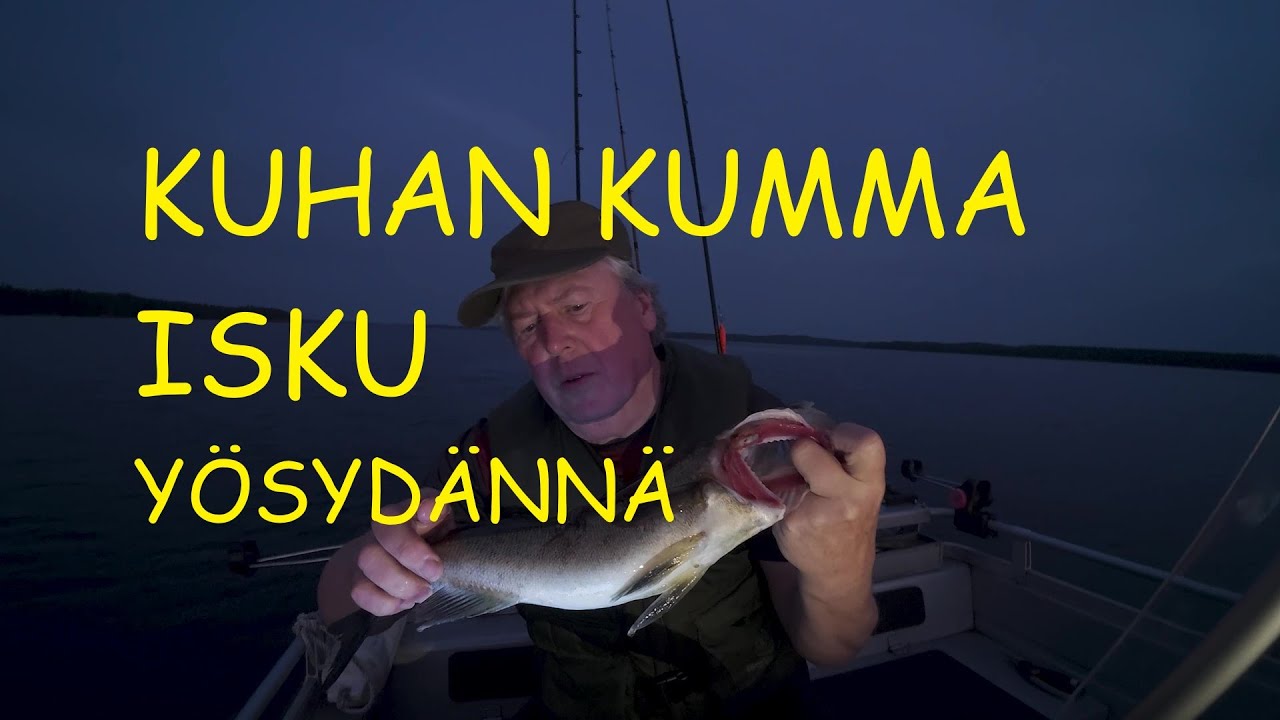 Kuhan kumma isku - tunteet vähän pinnassa