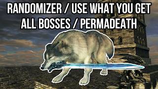 Dark Souls Randomizer + Use What You Get + Permadeath #14