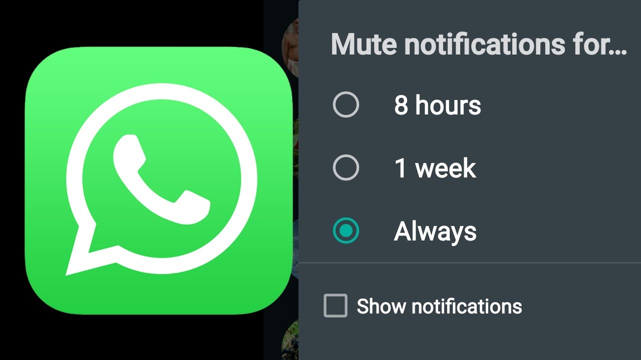 How to Mute WhatsApp chats forever? YouTube
