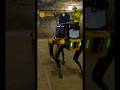 How autonomous robots can scout underground environments #shorts