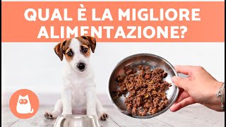 TIPI di ALIMENTAZIONE per CANI  (4 Diete)