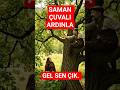 Saman Çuvalı Gibi Ardınla Gel! #shorts