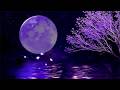(No Ads) Sleep Hypnosis For Calm ADHD • Ease Anxiety &amp; Sleep Deeply • Remove Mental Blockage