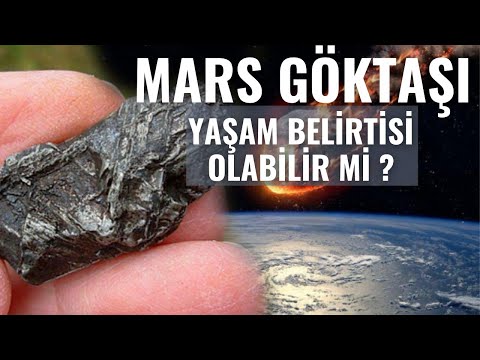 Mars Meteorite ALH84001