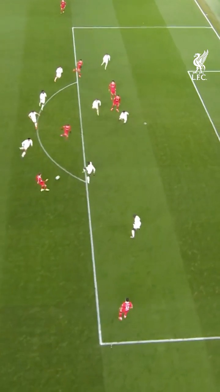 This Angle of Macca's Goal ?