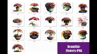 Beautiful-Flowers-PNG Images Sublimation 6 | | PNG Sublimation | #editingmaterial