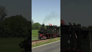 Der Wilde Robert hinter Mügeln  #train #railway #sound #railroad  #steamtrain #travel #history
