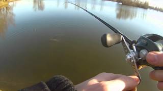 brochet en casting au leurre souple Janvier 2015