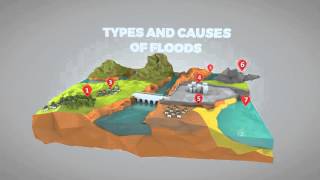 Visualization Project - Types of Flood