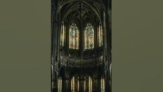 Enchanted by Taylor Swift but you're in an old cathedral