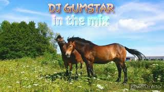 Deep In The Soul | Russell Zuma, TimAdeep, DJ Couza, Bee-Bar, Edgar Mav | Mixed by DJ Gumstar