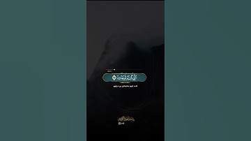 تلاوة مبكية و خاشعة للقارئ پێشەوا قادر الكردي من سورة فصلت راحة نفسية حالات واتس اب دينية