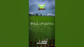 وما قدروا الله حق قدره ||سورة الزمر|| أسامه عبدالرحمن#quran#قران_كريم #راحة_نفسية #سورة_الزمر