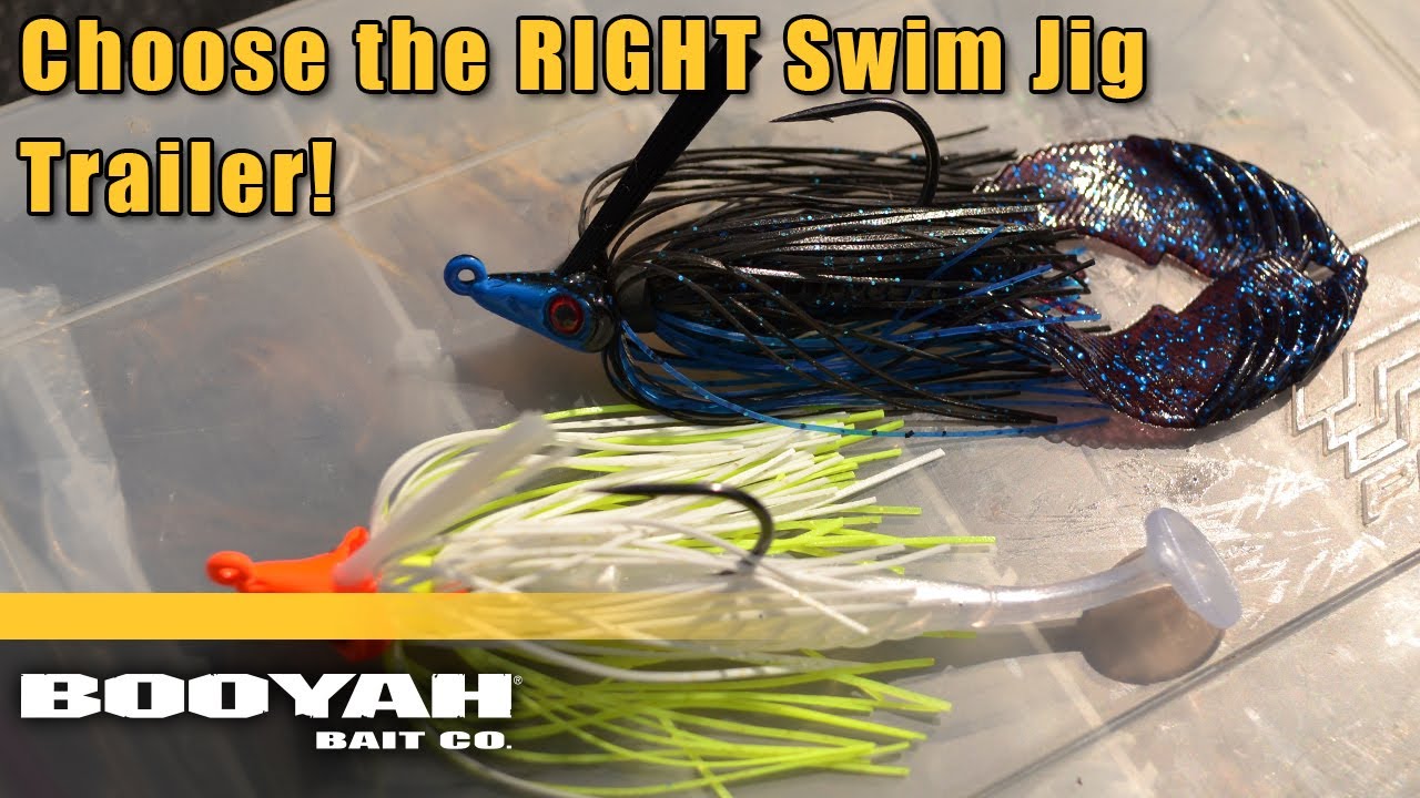 Top 5 Swim Jig Trailers / Get Better at Swim Jig Fishing – The Minimalist  Fisherman