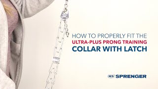 How to Get the Proper Fit: Herm. Sprenger UltraPlus Prong Dog Training Collar with Latch