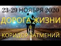 Прогноз 23-29 ноября: "Дорога жизни" к Коридору Затмений и Полнолунию 30 ноября 2020