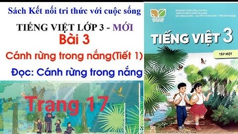 Tiếng Việt lớp 3:  Bài 3 Cánh rừng trong nắng (tiết 1) Đọc: Cánh rừng trong nắng - sách Kết nối
