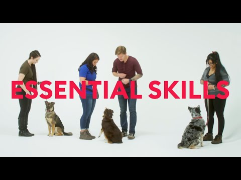 StartSmart™ - A PetSmart Training workshop