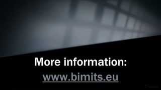 BIMiTs - View Toggles