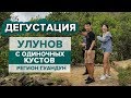 Обзор новинок. Китайский чай, улуны, Данцуны. Эффект от чая