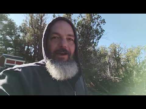 SURPRISE STORM INCOMING!