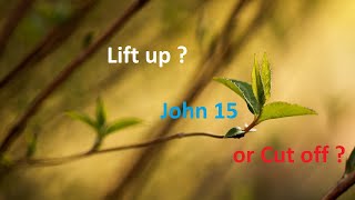 Joseph Prince Explains John 15 | Errors exposed | New Creation Church
