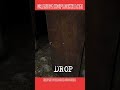 Grandpa ko ipl dekhna hai horror game #granny #shorts