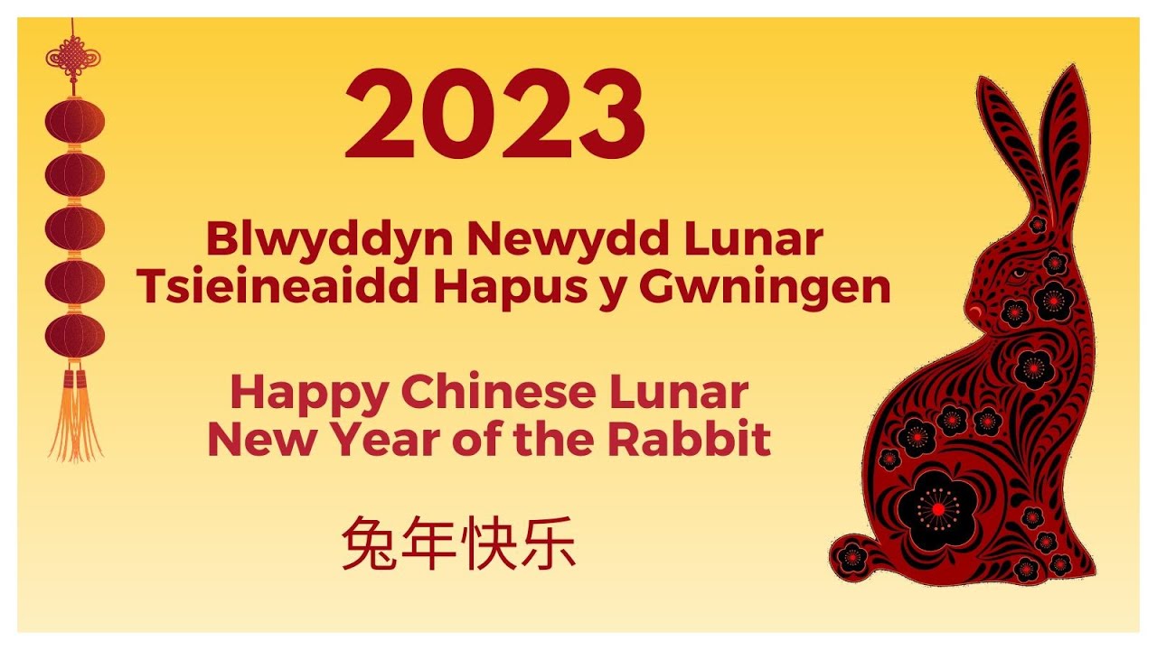 Learn how to draw and colour a rabbit- step by step! - YouTube