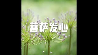 201607 菩萨发心25383