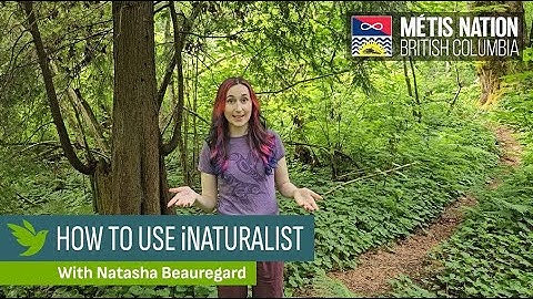 How to Use iNaturalist - Quick & Easy App Tutorial!