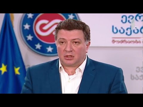 თბილისის განვითარების ფონდის საქმე