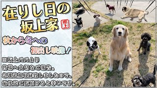 【みんな集合！秋から冬へ初出し映像！】※急遽動画の最後に坂上パパから皆様へ大切なご報告を追加しております。