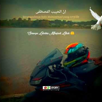 Story Wa 30 Detik || Sholawat Innal Habibal Musthofa