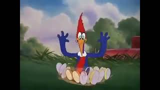 Pica Pau Biruta 1941-TV 12RECORDS