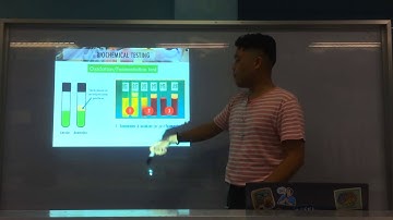 MT Pre-Recorded Lectures | MT 37: Biochemical Testing (Staphylococcus & Micrococcus Part 1)