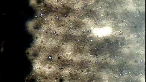 Microscopic video of an anti static bag, ESD (electro-static discharge) bag