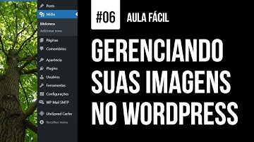 Como Gerenciar Suas Imagens no Wordpress (Aula Fácil)